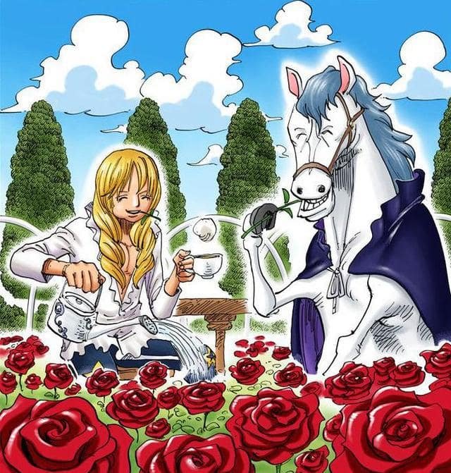 Cavendish en el manga One Piece 02