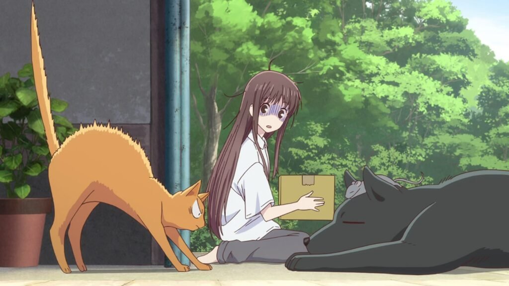 fruits basket sinopsis transformación en animales