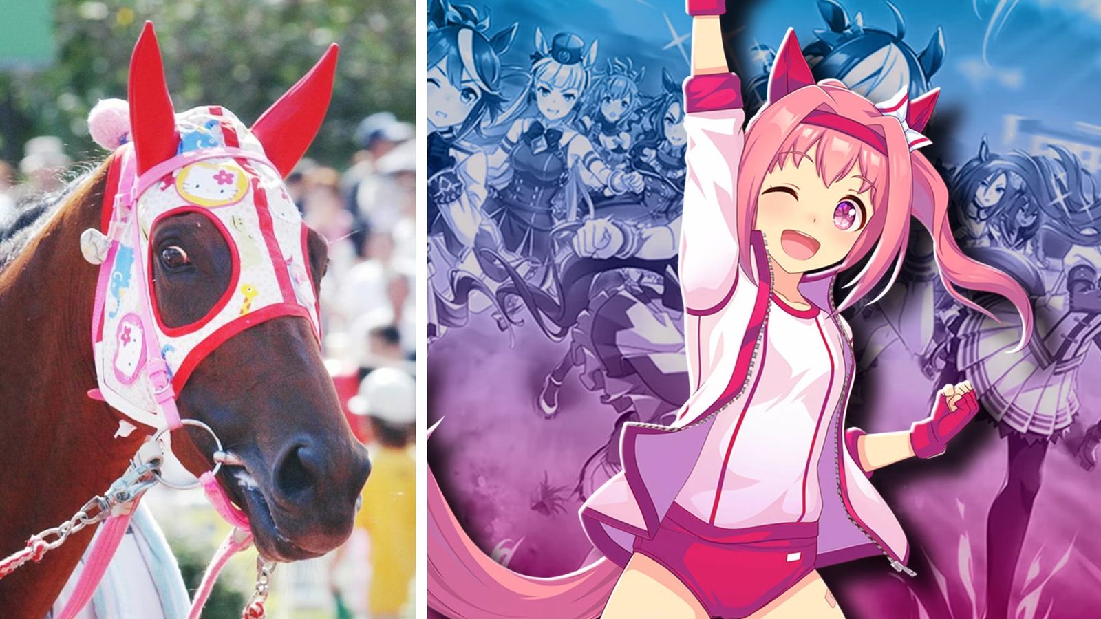 Haru Urara Uma Musume