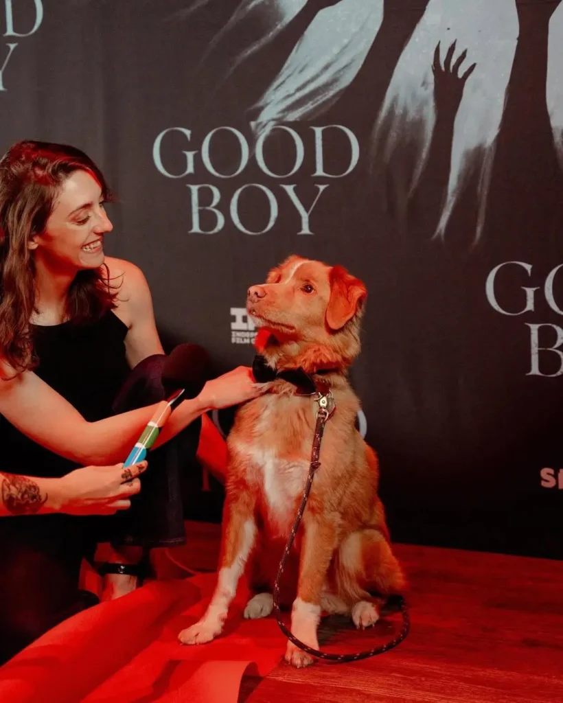 Good Boy en cines argentinos